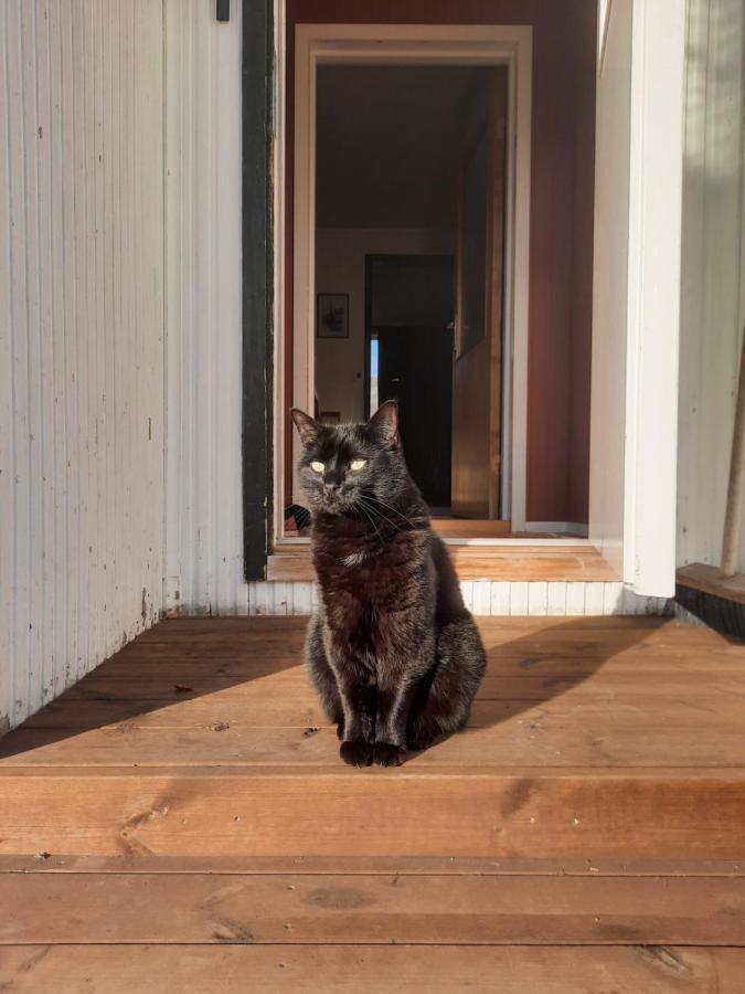 Joey'S Leilighet Skjervoy Eksteriør bilde